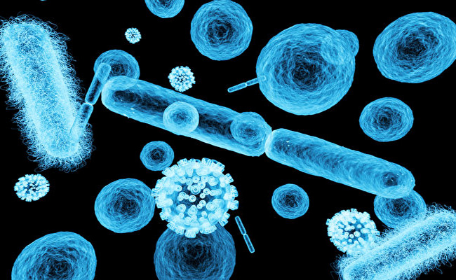 A causa da contaminação do compressor – microorganismos